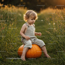 Toddler Sitting on Large Pumpkin in Sunny Meadow