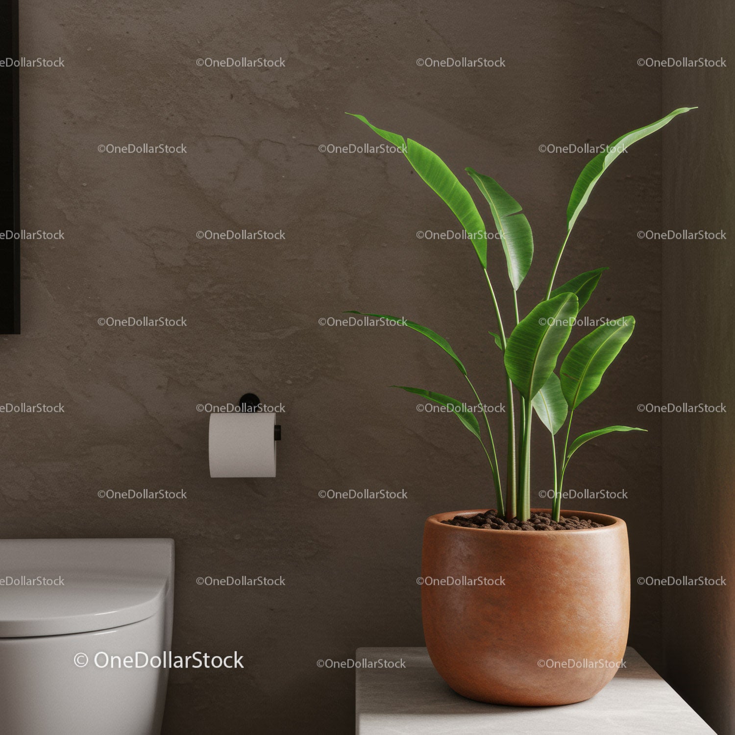Stylish Indoor Plant in Terracotta Pot for Cozy Modern Homes