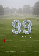 Golf Course Number Ninety Nine Made of Golf Balls