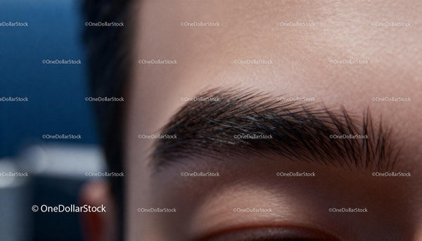 Close up of well-groomed eyebrow with natural skin texture