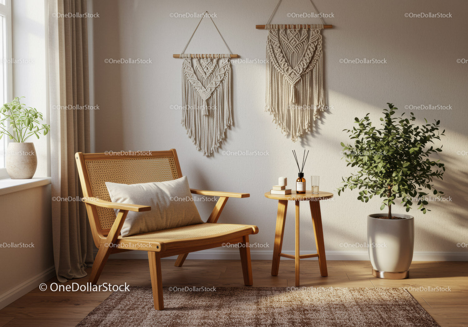 Cozy corner with wooden chair and green indoor plant