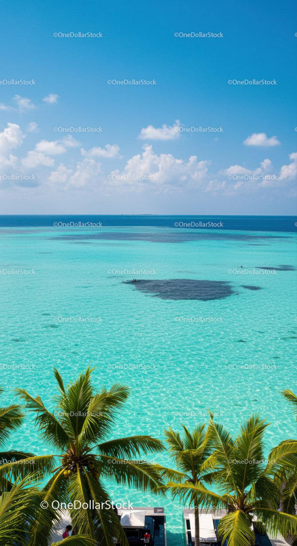 Beautiful Tropical Beach with Palms and Crystal Clear Water