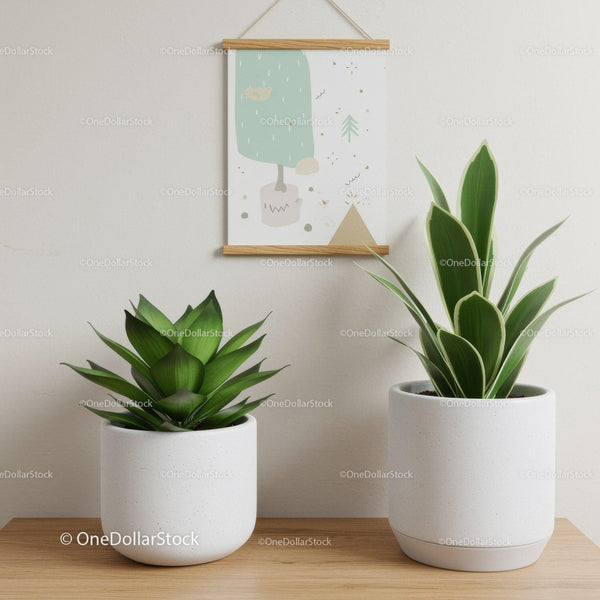 Indoor Greenery with Potted Plants in Modern Home Decor