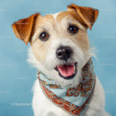 Cute Mixed Breed Dog with Bandana and Bright Eyes