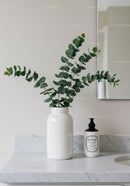 Eucalyptus Plant in White Ceramic Vase on Marble Countertop
