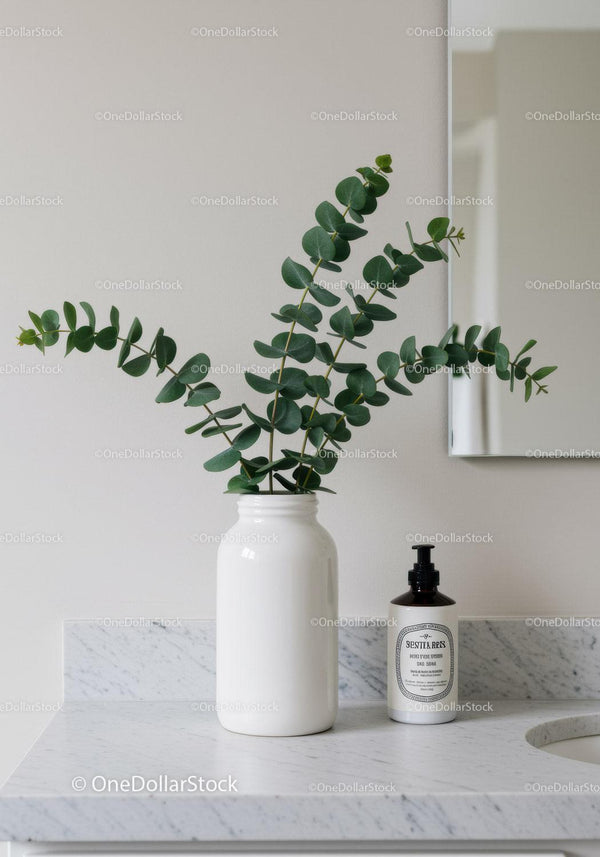 Eucalyptus Plant in White Ceramic Vase on Marble Countertop