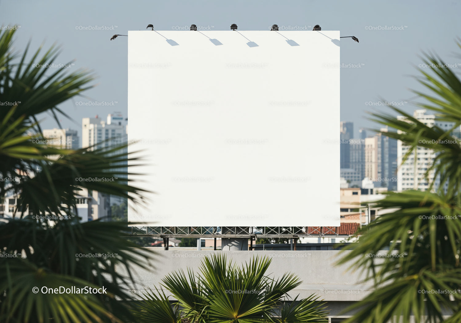 Blank white billboard with cityscape behind green palms