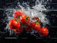 Fresh Red Cherry Tomatoes Splashing into Water