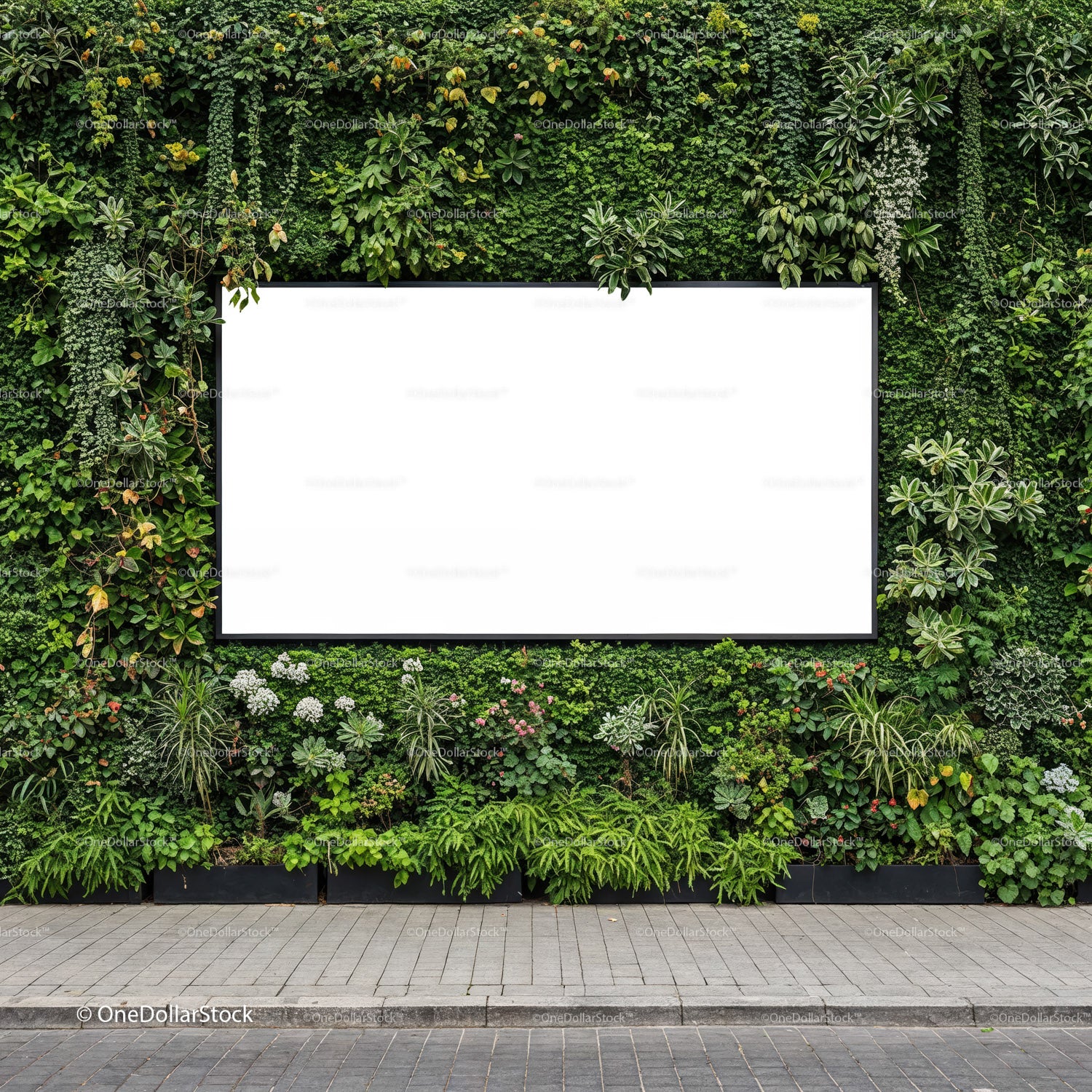 Blank billboard surrounded by lush green plants wall