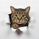 Curious tabby cat peeking through torn paper