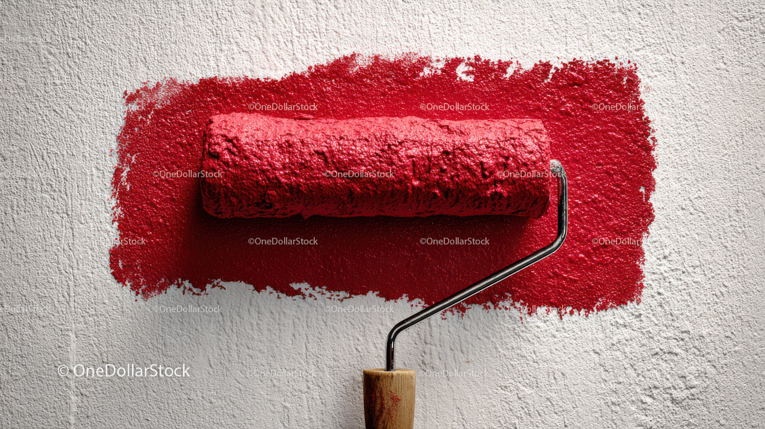 Red Paint Roller Applying Bright Red Color on Wall for Home Renovation