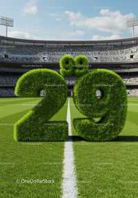 Grass covered 29th birthday number on sports field