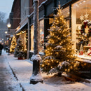 Cozy Snowy Street with Illuminated Christmas Trees