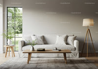 Minimalist living room with natural light and cozy sofa