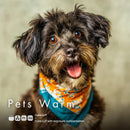 Pets Warm LUT Pack preview