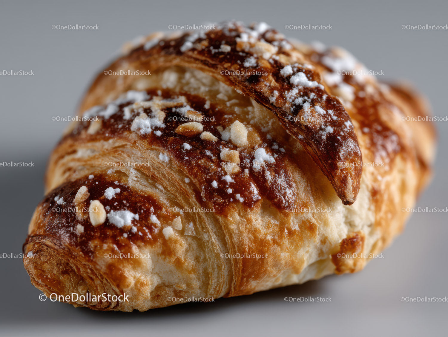Golden Croissant with Powdered Sugar and Almond Topping