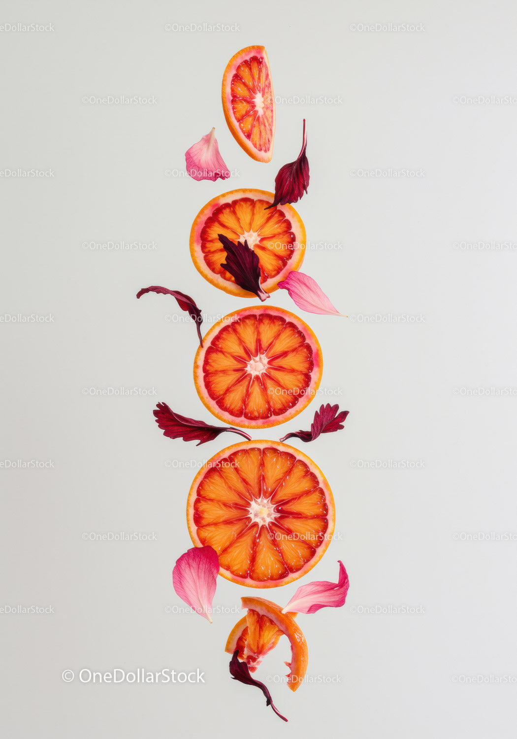 Blood Orange Slices and Flower Petals Arrangement