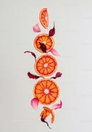 Blood Orange Slices and Flower Petals Arrangement