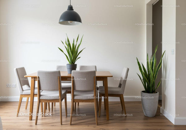 Contemporary Dining Area with Snake Plants and Wooden Furniture