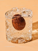 Rustic nut preserved inside a clear ice cube