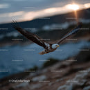Majestic Bald Eagle Soaring Over Mountain Landscape at Sunset
