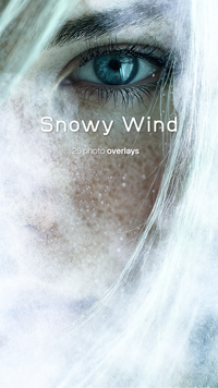 Snowy Wind Photo Overlays preview