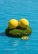 Fresh lemons on moss patch floating in blue water