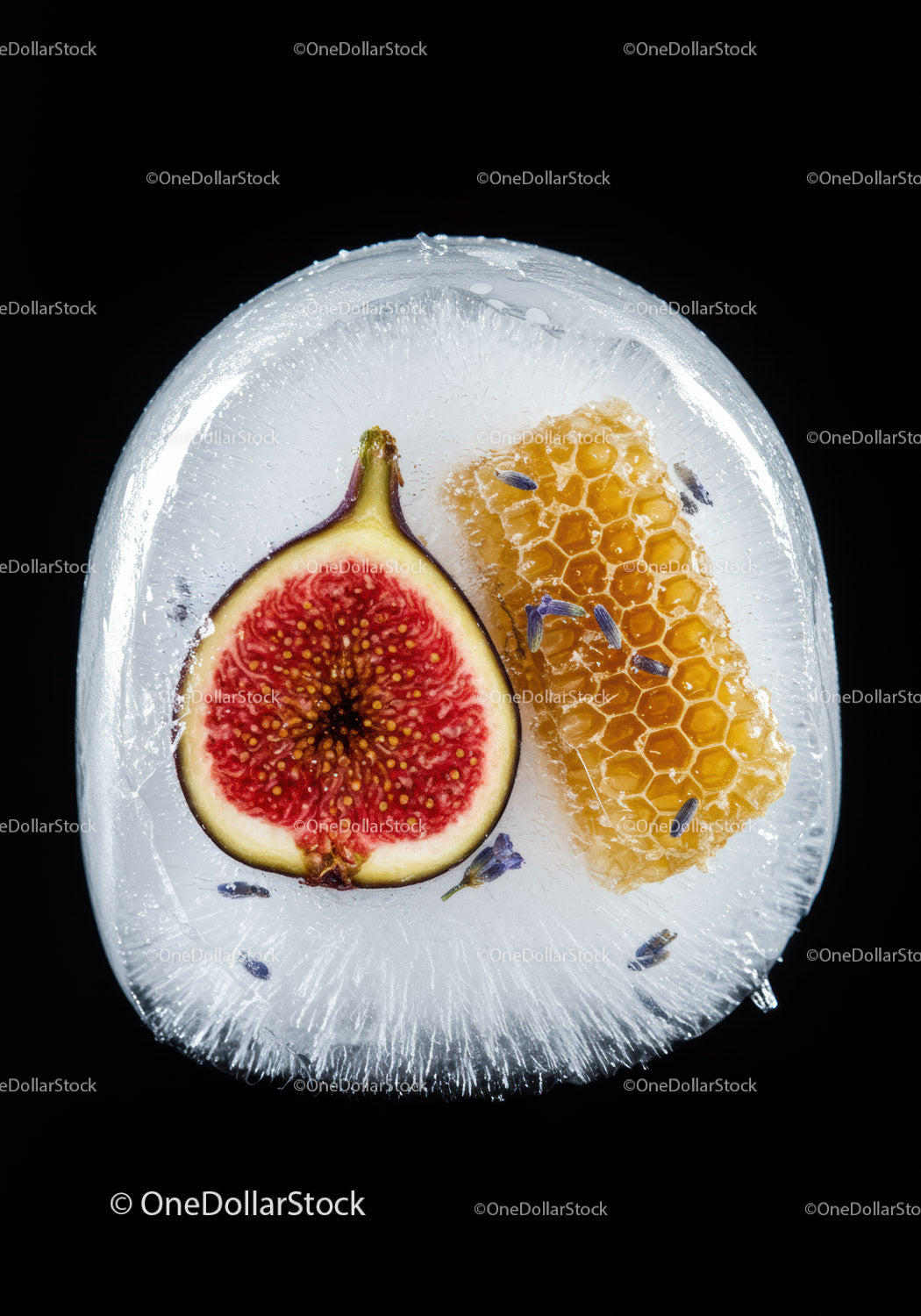 Fig and honeycomb frozen in clear ice block