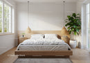 Minimalist bedroom with natural light and green plant