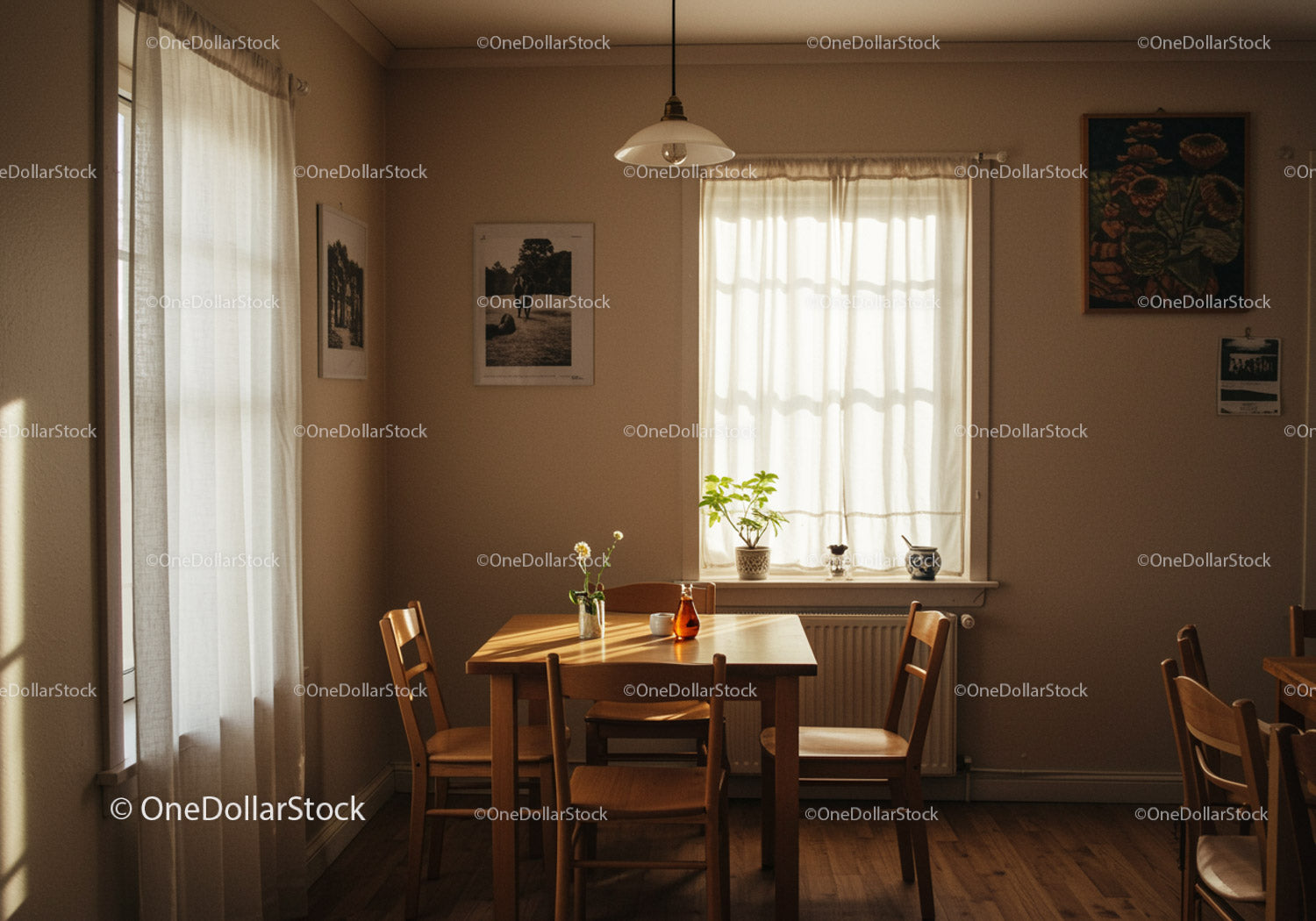 Cozy dining room with sunlight streaming through curtains