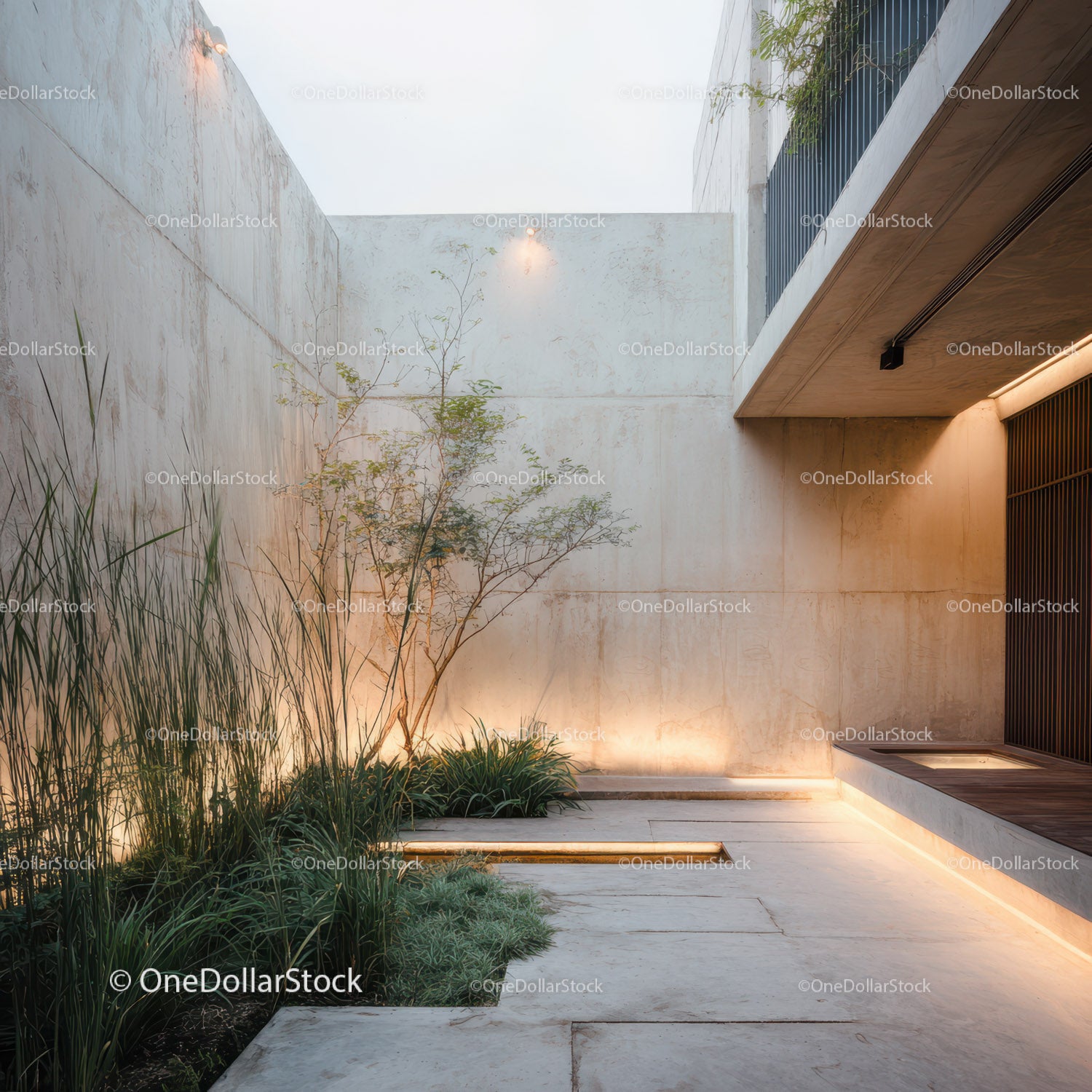 Contemporary minimalist outdoor courtyard with greenery and modern design
