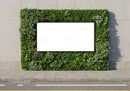 Blank billboard framed by lush green plants on city wall