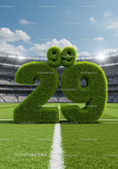 Grass Sculpture of Number 29 on Football Field