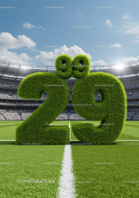 Grass Sculpture of Number 29 on Football Field