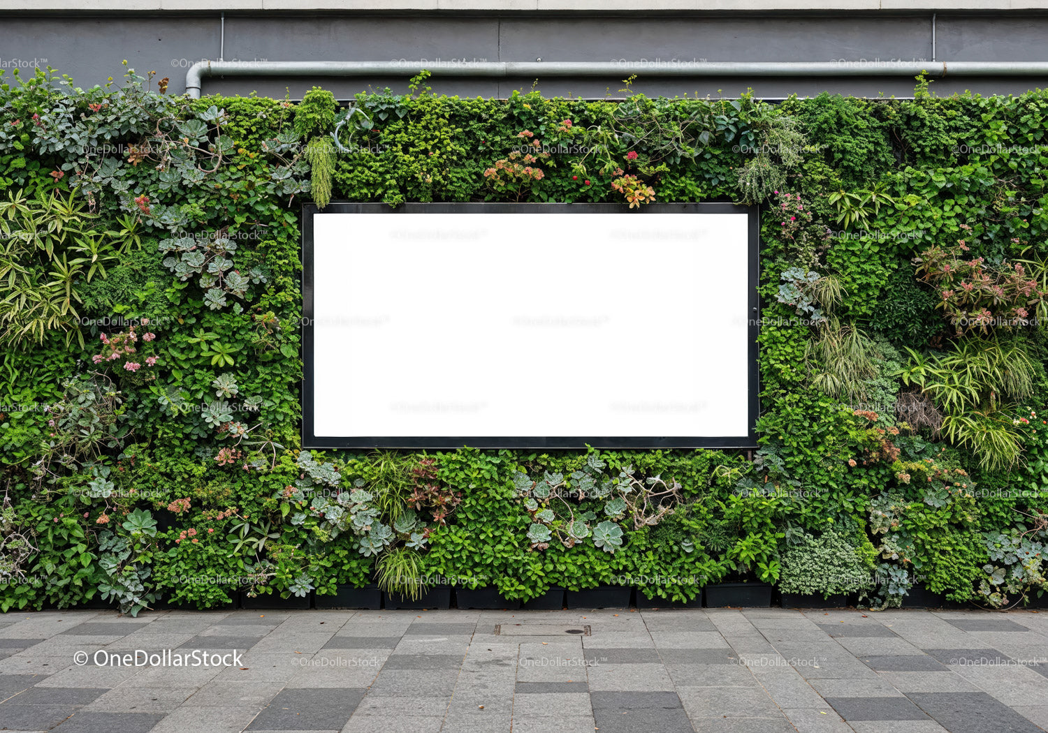 Urban Vertical Garden with Blank Advertising Board