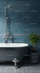 Classic freestanding bathtub with green indoor plant