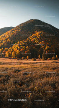 Autumn Mountain Landscape with Colorful Trees and Hillside Forest