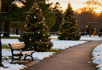 Snowy Park Path with Decorated Christmas Trees at Sunset