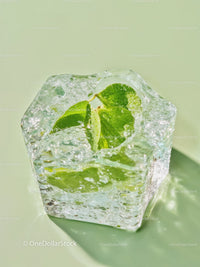 Fresh green leaves encased in a clear ice cube