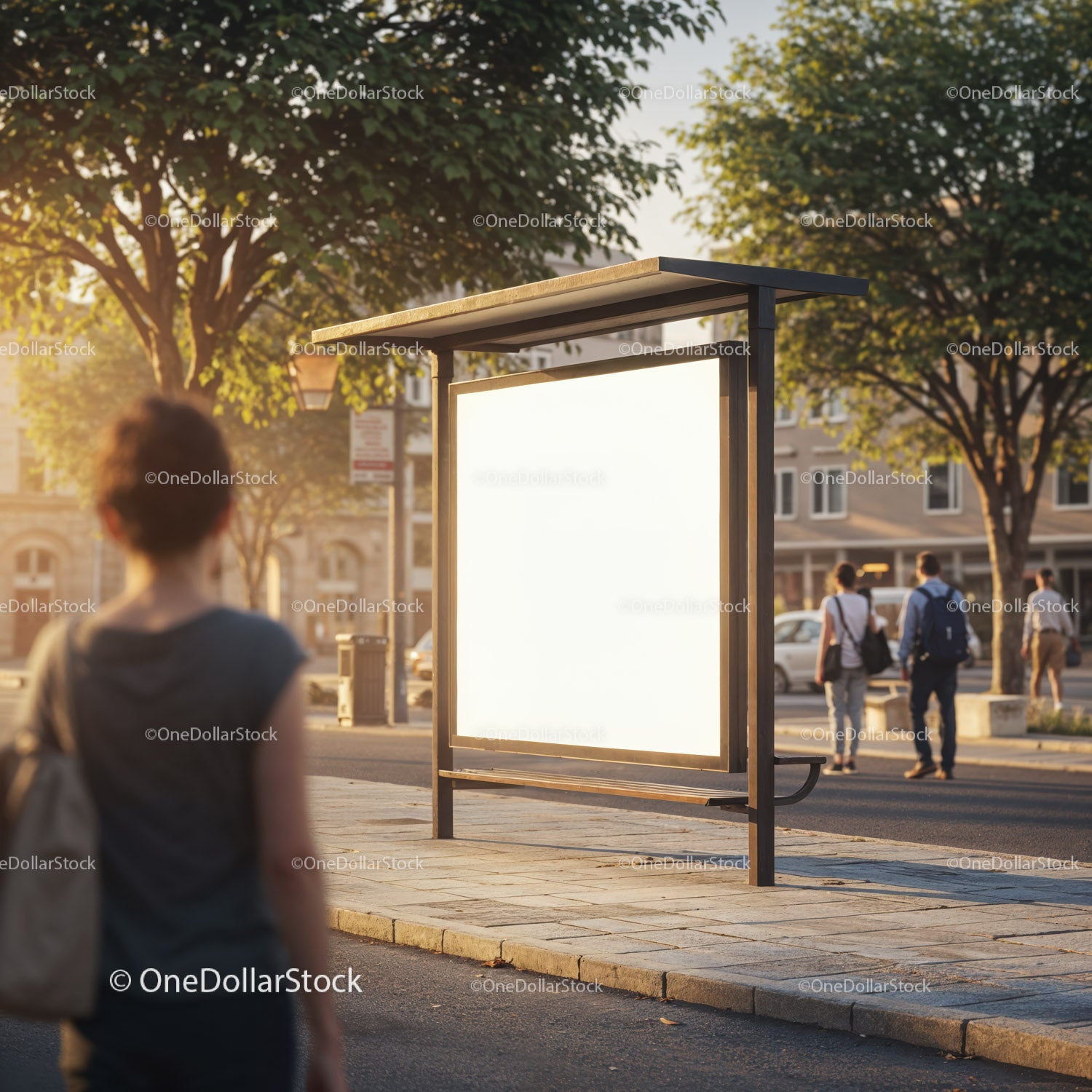 Empty urban bus stop with waiting woman at sunset