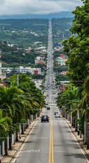 Scenic City Street with Green Trees and Urban Landscape