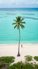 Lonely Traveler on a Tropical Beach Under a Palm Tree