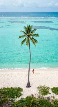 Lonely Traveler on a Tropical Beach Under a Palm Tree