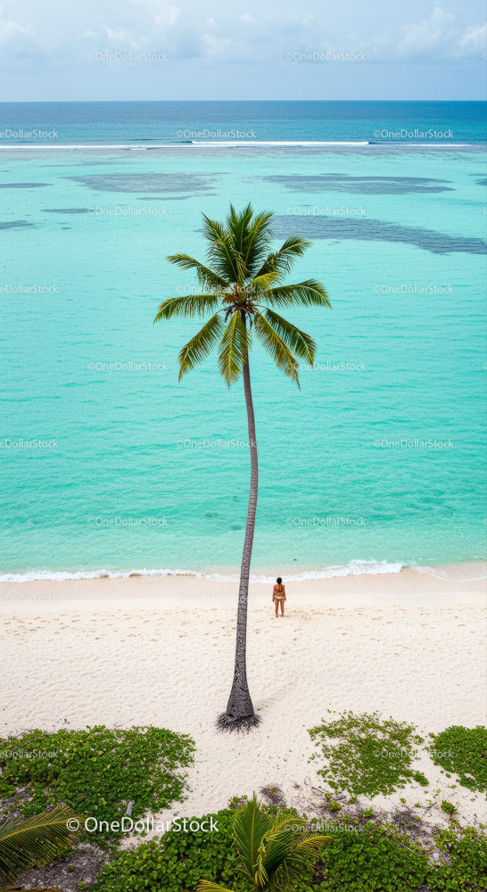 Lonely Traveler on a Tropical Beach Under a Palm Tree