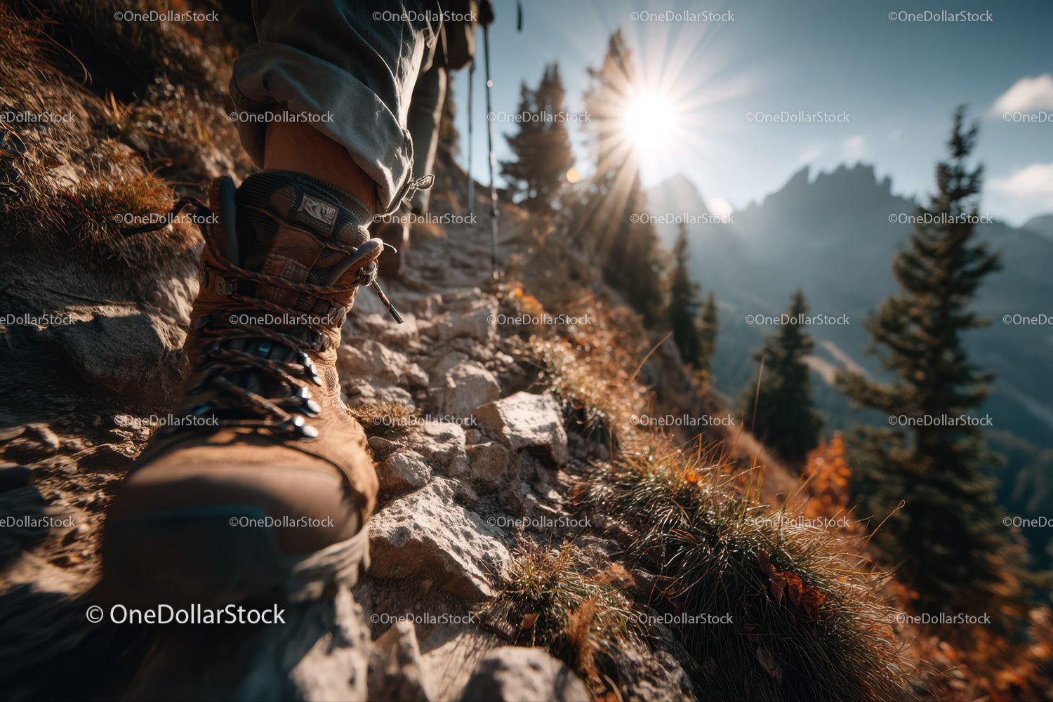 Close-up of Hiking Boot on Rocky Mountain Trail with Sunlight