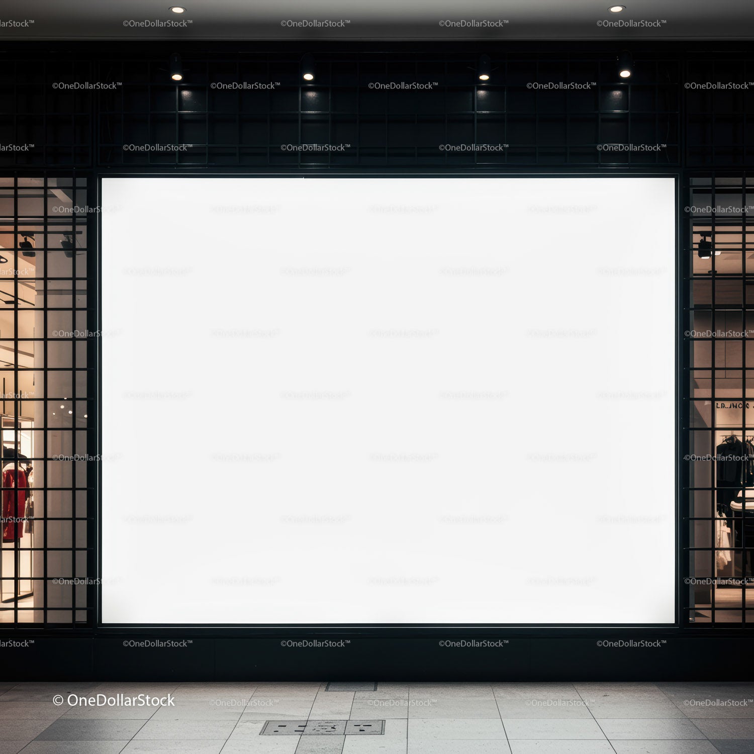 Empty illuminated storefront display at night in urban area