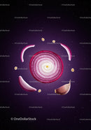 Sliced Red Onion and Garlic Cloves Floating in Space