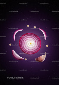 Sliced Red Onion and Garlic Cloves Floating in Space