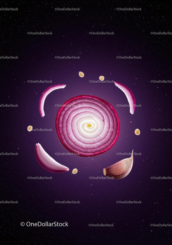 Sliced Red Onion and Garlic Cloves Floating in Space