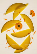 Fresh Yellow Melon Slices with Vibrant Orange Flowers